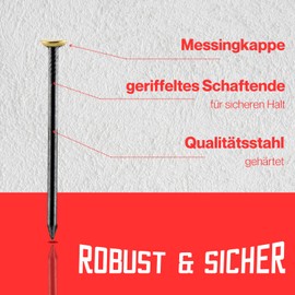 S&S-Shop 30 Picture Nails, Size 50 mm, Made of Hardened Steel, Picture Hanging, Art Accessories, Skirting Board Nail, Picture Mounting, Wall Pictures, Canvas Nails, Picture Nail