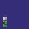 Rust-Oleum 270970-6PK Specialty No Hunting Purple Spray Paint, 12 oz,