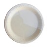 CUSINIUM 100 Pack, 9-Inch Ivory Paper Plates - Great for
