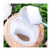 DRAGON Coconut Jelly Powder 0.35 OZ / Bot Rau Cau