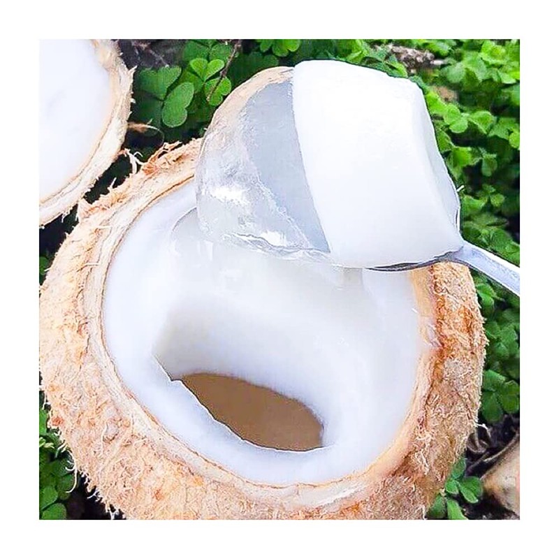 DRAGON Coconut Jelly Powder 0.35 OZ / Bot Rau Cau