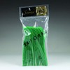 Maryland Plastic Full Size Forks | Green | Pack of