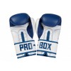 Pro Box Kids Club Essentials Boxing Gloves - Red -