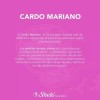 Cardo Mariano Shelo Nabel 4 Piezas Higado Graso S603-4