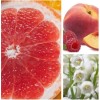 Aromas Para Difusores Profesionales A Base De Aceites 100ml Spa