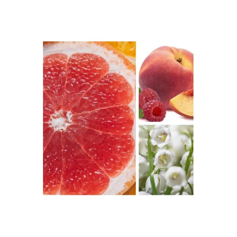 Aromas Para Difusores Profesionales A Base De Aceites 100ml Spa