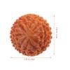 Artibetter 2 Pieces Wooden Massage Balls Ball Trigger Points Balls