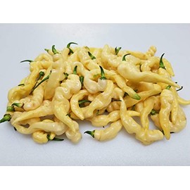 Murupi Amarela Pepper 10+ Seeds