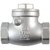 3/4" NPT Swing Check Valve Female PN16 CF8M,Stainless Steel SS316