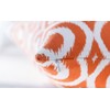 TreeWool (2 Pack Ogee Ikat Accent Cotton Canvas Cushion Covers
