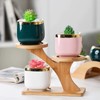 AKONE Cactus Planter Succulent Pot Bamboo Tray