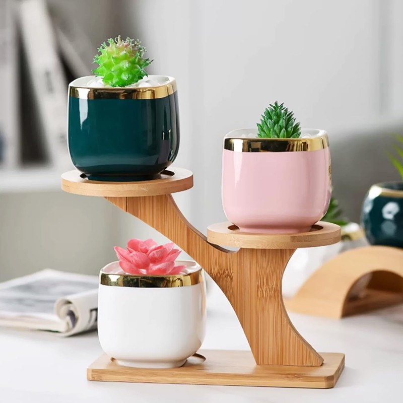 AKONE Cactus Planter Succulent Pot Bamboo Tray