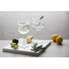 Dartington Crystal WB427/P Wine and Bar, Copa Gin and Tonic,