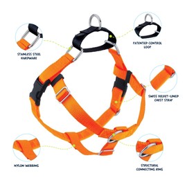 2 Hounds Design Freedom No Pull Dog Harness, Adjustable Harness, Easy Walking & Comfortable Control, Fits Small, Medium & Large Dogs, Solid Colors, Made in USA, 1" LG, Neon Organge