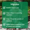 Provita Migraine - Natural Herbal Solution for Headaches, Prevent &