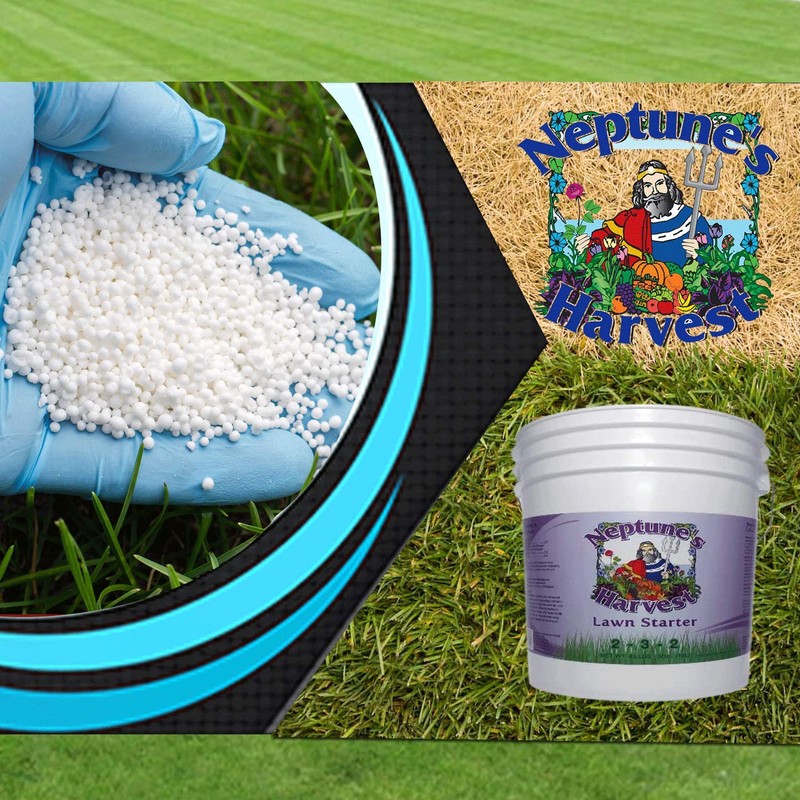 Neptune's Harvest Lawn Starter Fertilizer, 5 Gallon Pail