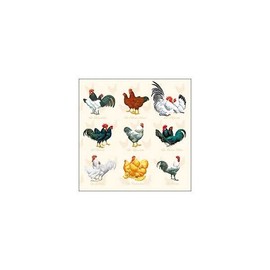 AMBIENTE LUNCH NAPKINS 33X33CM (11263579) - WYANDOTT, CREAM