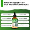 Probiotics for Dogs | Liquid Probiotics for Dogs | Prebiotic