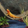 Mipcase 2Pcs Reptile Seagrass Hammock Lizard Hammock Hanging Ladder Lounger