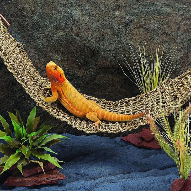 Mipcase 2Pcs Reptile Seagrass Hammock Lizard Hammock Hanging Ladder Lounger