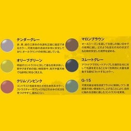 Storm Rider SR-009-P-5 Sports Curve 2-5