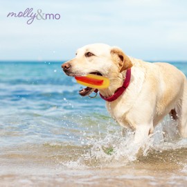 Molly & Mo Small Hot Dog