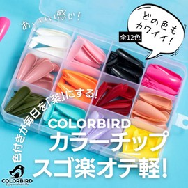 COLORBIRD Nail Tip, Long, 12 Colors, 240 Pieces, Black, Pink, Blue, Sea, Pool, Nail Tip, Simple, Stylish (Point L Glossy)