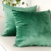 Artcest Set of 2, Cozy Solid Velvet Throw Pillow Case,