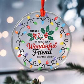 Best Friend Ornaments for Women - Friends Gifts 2025 - Friendship Gifts for Friend Female, BFFs, Besties, Soul Sisters, Friends Group Christmas Tree Decoration - Friendship Glass Ornament (FR2)