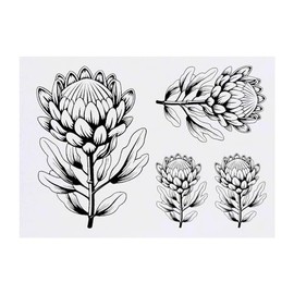4 x 'Protea Flower' Temporary Tattoos - Water Resistant, Skin-Safe, Non-Toxic Transfers, Mixed Sizes (TO00073410)
