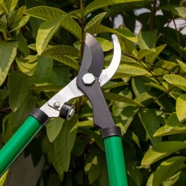 CNX Tijeras De Dos Manos Para Podar Ramas De 21  Profesionales