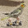 AIMALL Parrot Training Toy Pulley Skateboard for Small Birds |