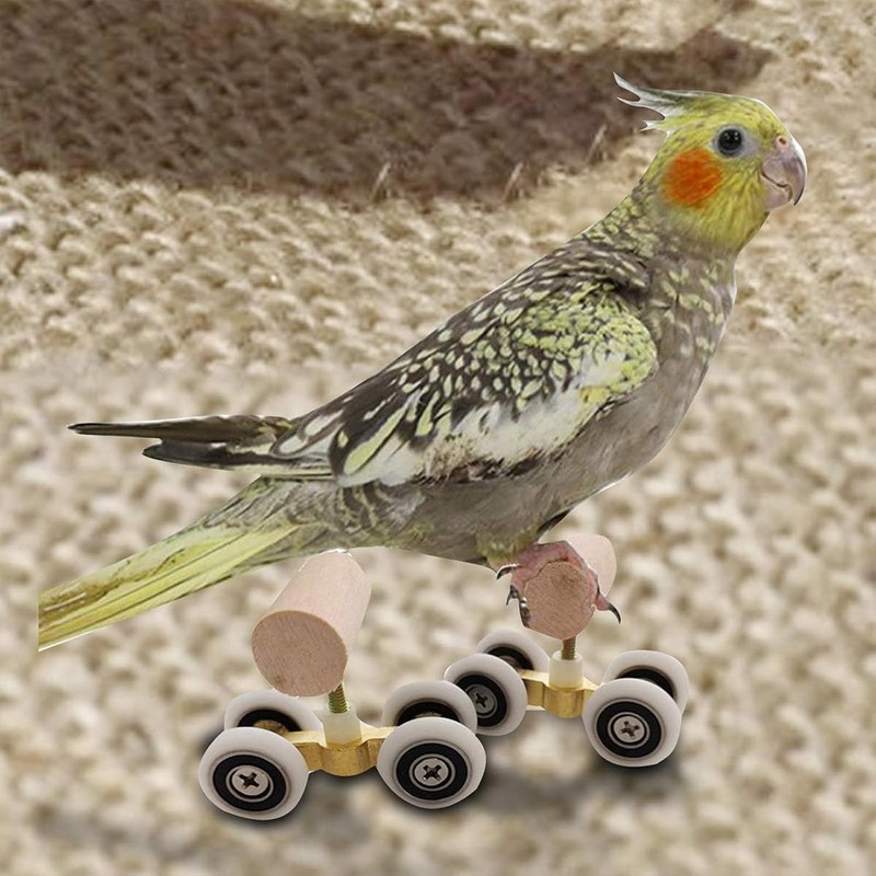 AIMALL Parrot Training Toy Pulley Skateboard for Small Birds |