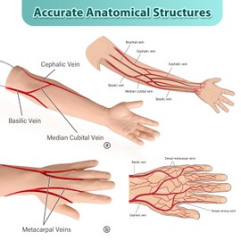 Intravenous Practice Arm Kit for Nursing Student, Phlebotomy IV Practice Kit with Portable Case（Education Use Only）