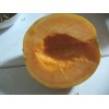 HAOGEN CANTALOUPE SEEDS- Grow Large Sweet Juicy Melons