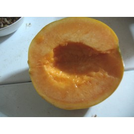 HAOGEN CANTALOUPE SEEDS- Grow Large Sweet Juicy Melons