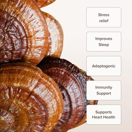 Bloomable Reishi Mushroom Powder by Bloomable I Improve Mood, Sleep, Stress Support (100 gr)