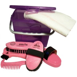 Children grooming box for horses purple filled with body brush and more