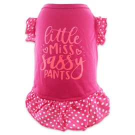 Cute Dresses for Girl Dogs Small Dog Dress Cat Female Summer Clothes Girls with Little Miss Sassy Pants Print, Large