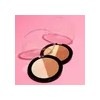 Polvo Megaglo Contouring Palette - Wet N Wild