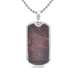 Starborn Fossil Dinosaur Bone in Sterling Silver Dog-Tag Pendant with Stainless Steel Chain