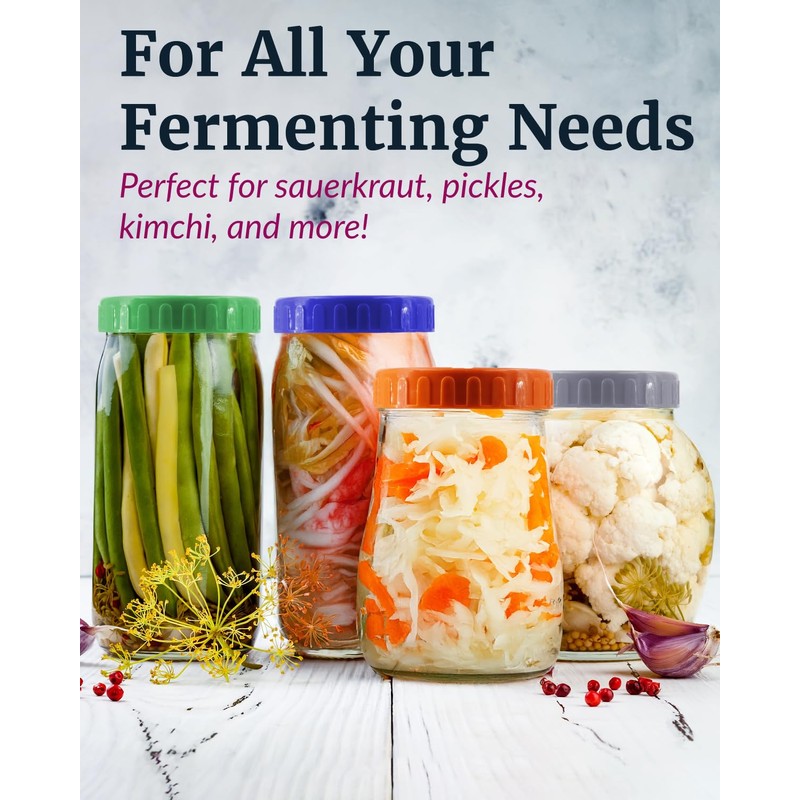 Elementi Glass Fermentation Weight Set of 4 - Easy Grip