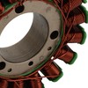 GOOFIT Magneto Stator Coil Replacement for 250NK 2017-2021 300SR 2022-2023