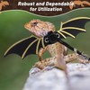 Bearded Dragon Leash and Harness Set, Adjustable Bearded Dragon Harness