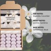 Midnight Jasmine Strong Scented Wax Melts 16 Pack - The