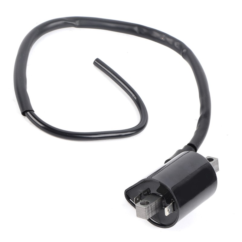Large Displacement 2 Pins Ignition Coil for Yamaha Cart G2