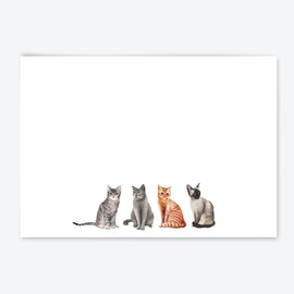 Me Loovely Four Cats Flat Notecard and Envelopes Set A6 Size Animal Greeting Card Thank You Cards for All Occasions | Christmas Gifts (Refill Pack of 20)