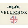 Vellichor Europe Set of 4 Blue and Grey Seat Cushion