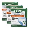 Curad Super Absorbent Wound Pad, Medium, 4" x 4", 10