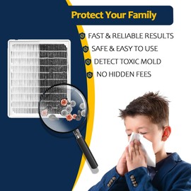 Mold Testing Kit with 10 Individual Tests - DIY Mold Test Kit for Home - Includes Detailed Mold Identification Guide - Fast and Reliable Mold Detector for Home